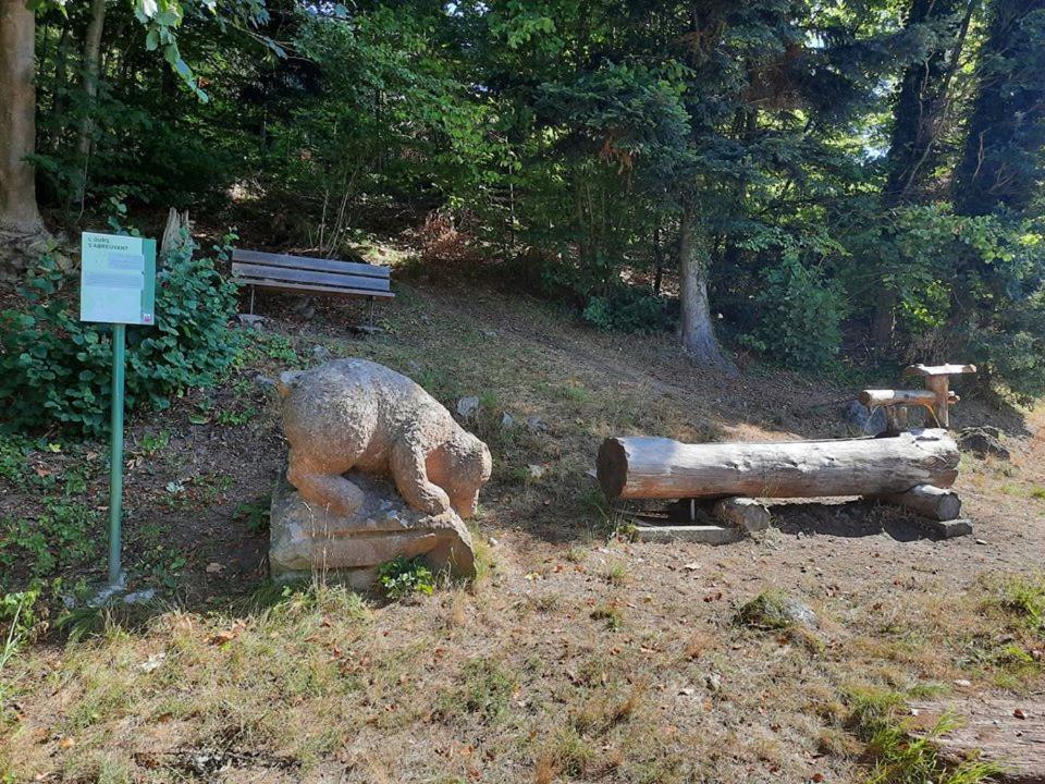 Studio Soleil Au Hohwald Εξωτερικό φωτογραφία
