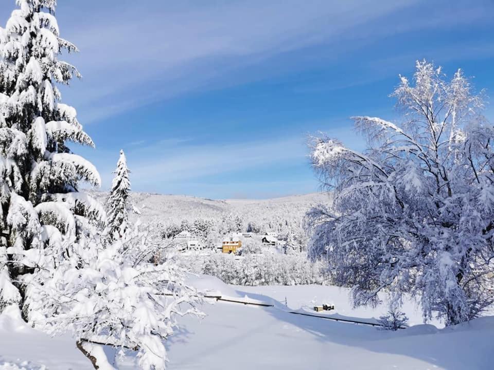 Studio Soleil Au Hohwald Εξωτερικό φωτογραφία